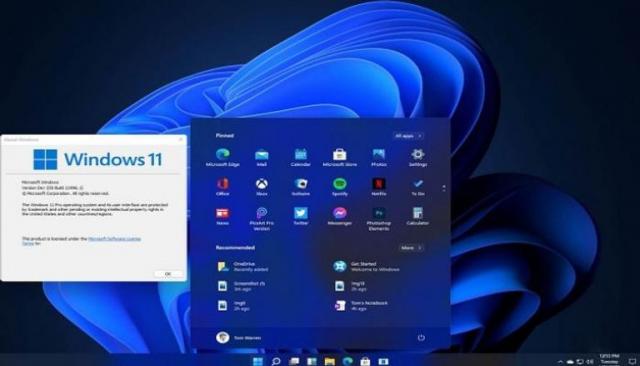  Windows 11 الجديد