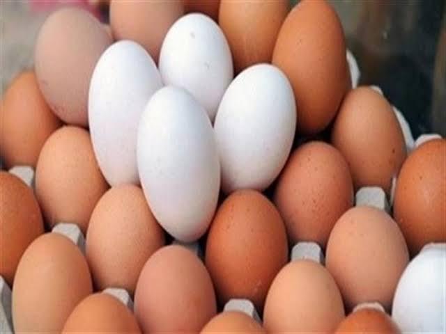 أسعار البيض