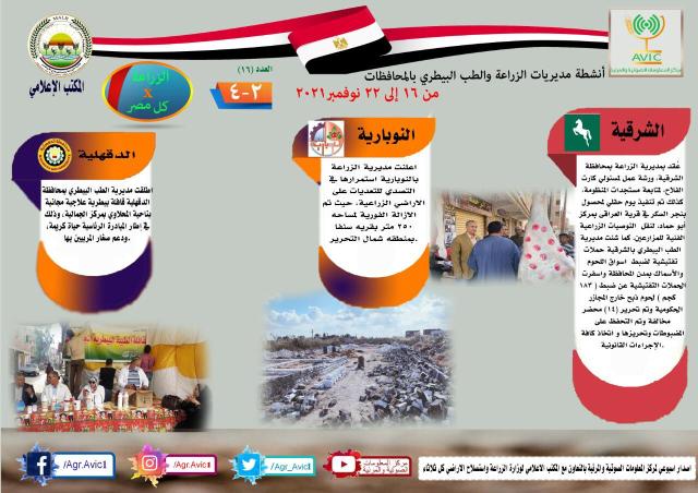انفوجراف