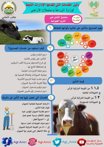 انفوجراف الزراعة