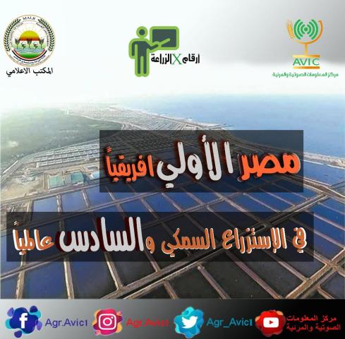 الإنفوجراف