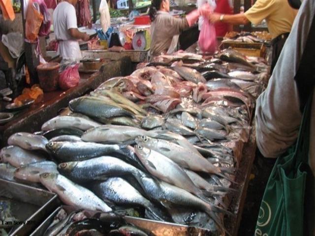 سعر الأسماك