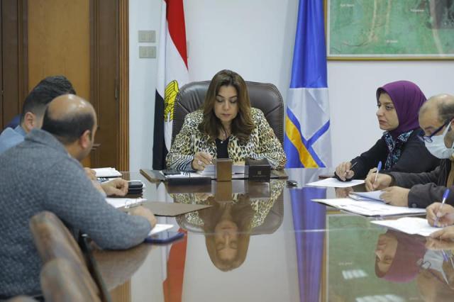 محافظ دمياط