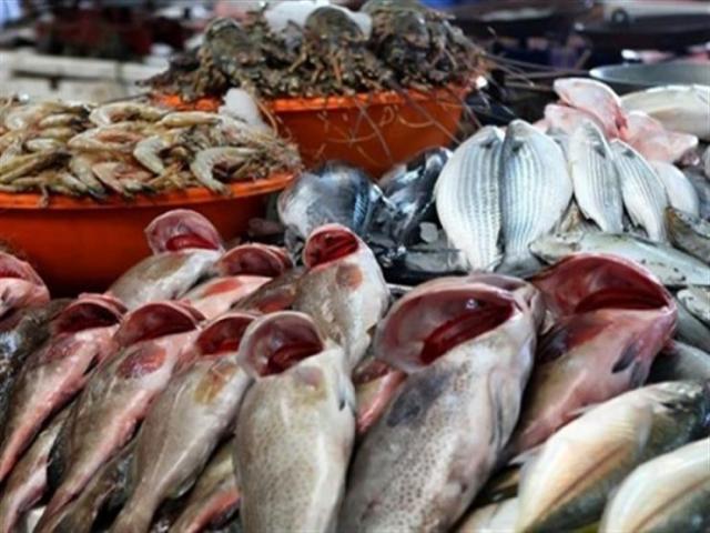 سعر السمك