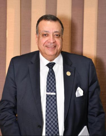 الدكتور محمد سعد الدين