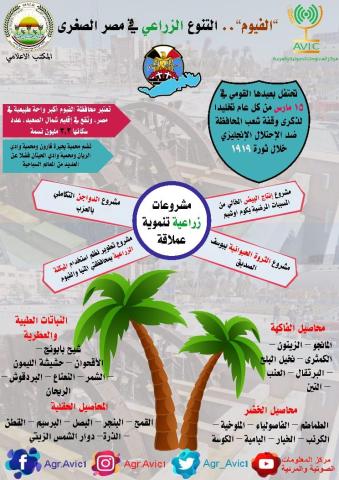 سلة غذاء مصر