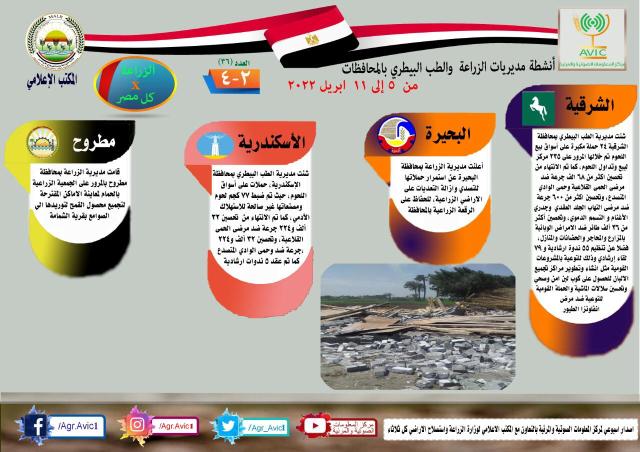 الانفوجراف