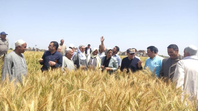 النائبة رشا كليب