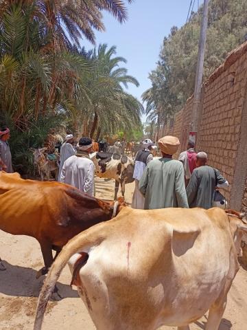جانب من الحملة
