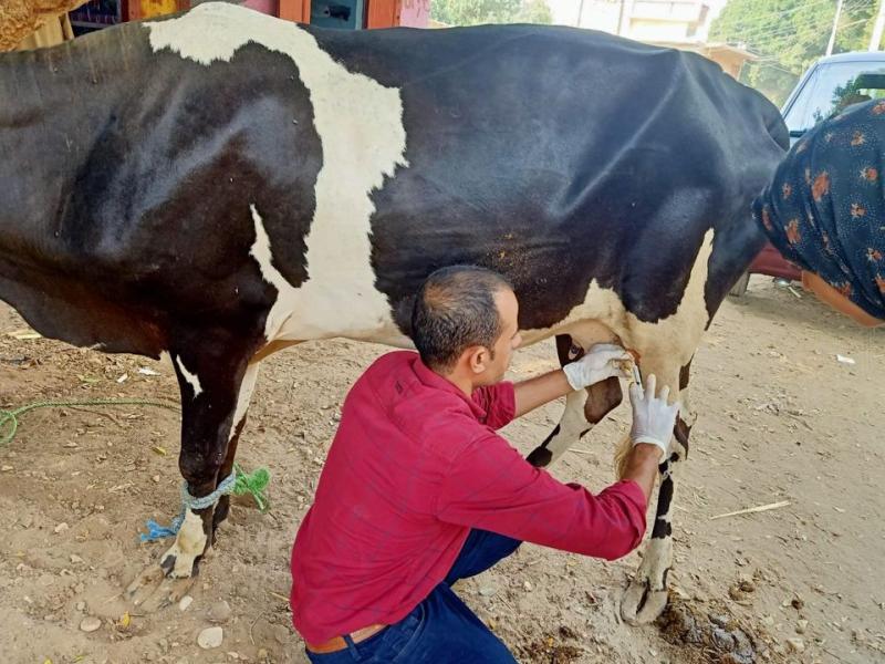 قوافل بيطرية علاجية مجانية