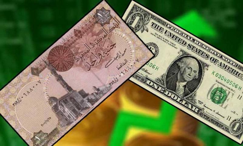 سعر الدولار اليوم