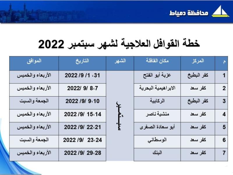 صحة دمياط