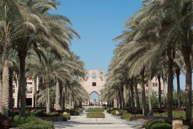 الجامعة الامريكية