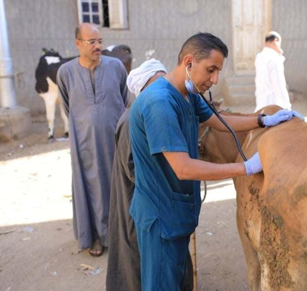 مديرية الطب البيطري