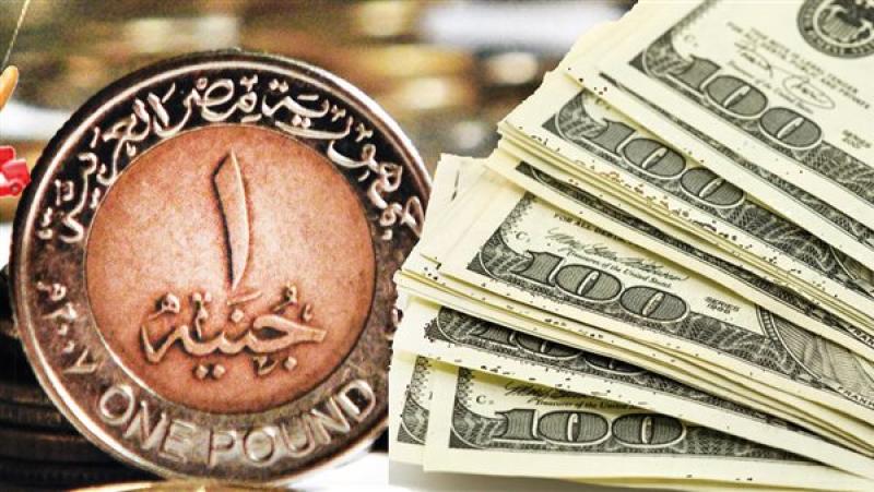 سعر الدولار في البنوك المصرية اليوم