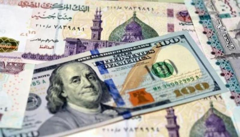 سعر الدولار بالبنوك المصرية اليوم 