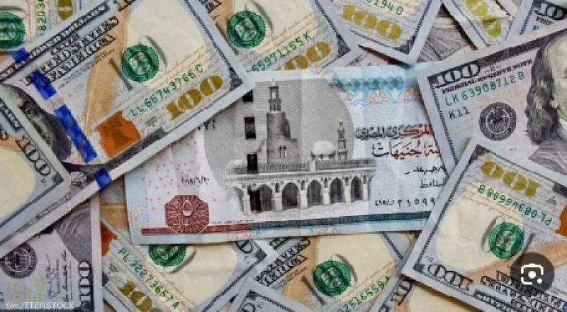 سعر الدولار مقابل الجنيه اليوم