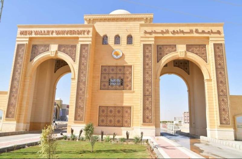 جامعة الوادي الجديد