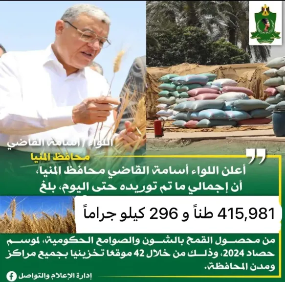 محافظ المنيا: شون وصوامع المحافظة تواصل استقبال القمح وتوريد 416 ألف طن