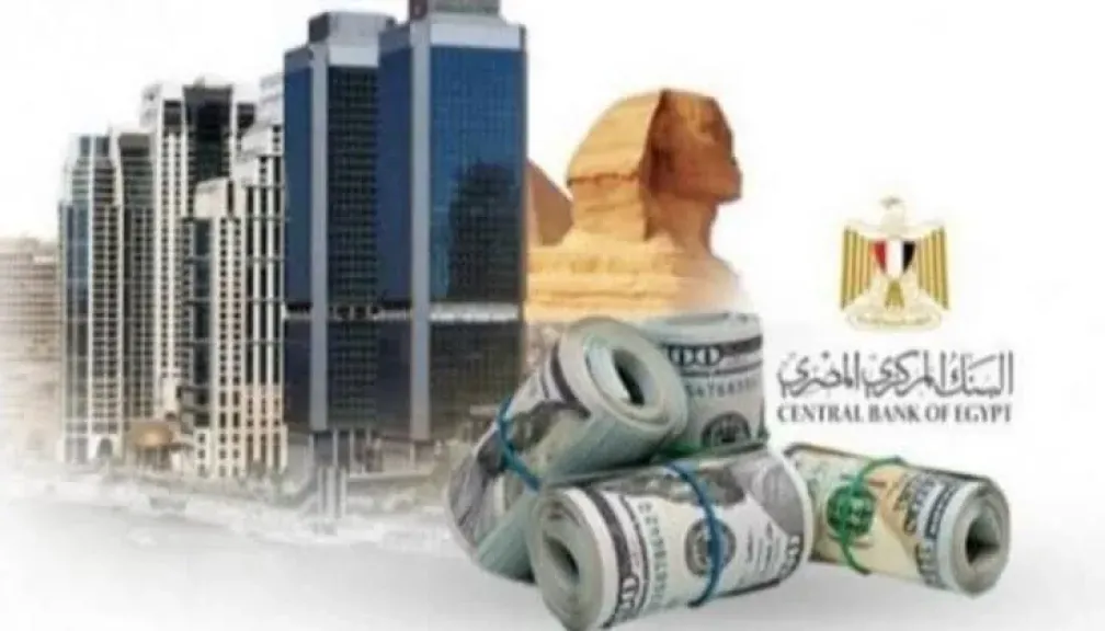 مصدر بالبنك المركزي: الدين الخارجي لمصر يشهد أكبر تراجع تاريخي بأكثر من 14 مليار دولار خلال 5 شهور