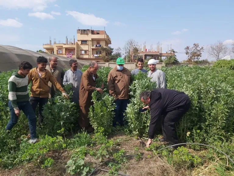 البحوث الزراعية: حصاد أنشطة مبادرة تفعيل المراكز الإرشادية خلال شهر فبراير 2025