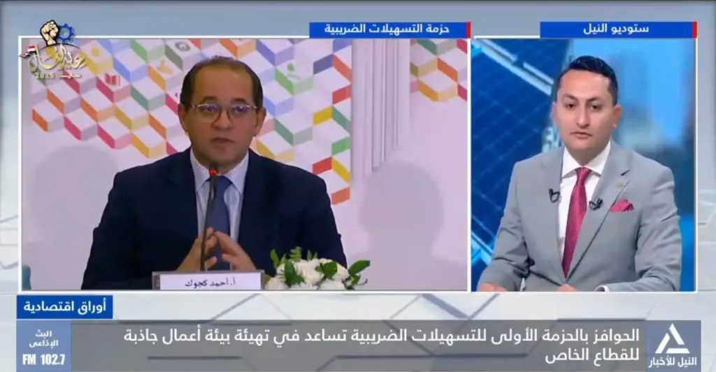 خبير ضرائب يقترح توسيع الحوافز الضريبية لتشمل صناعات البلاستيك والملابس والمواد الغذائية