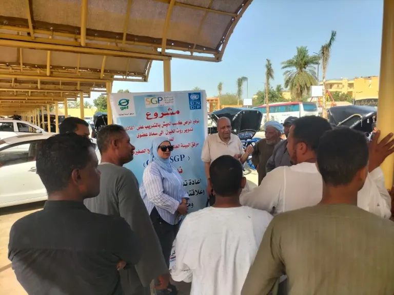 «روث الخيول» من عبء على شوارع الأقصر إلى أداة لتمكين المجتمع وحماية البيئة
