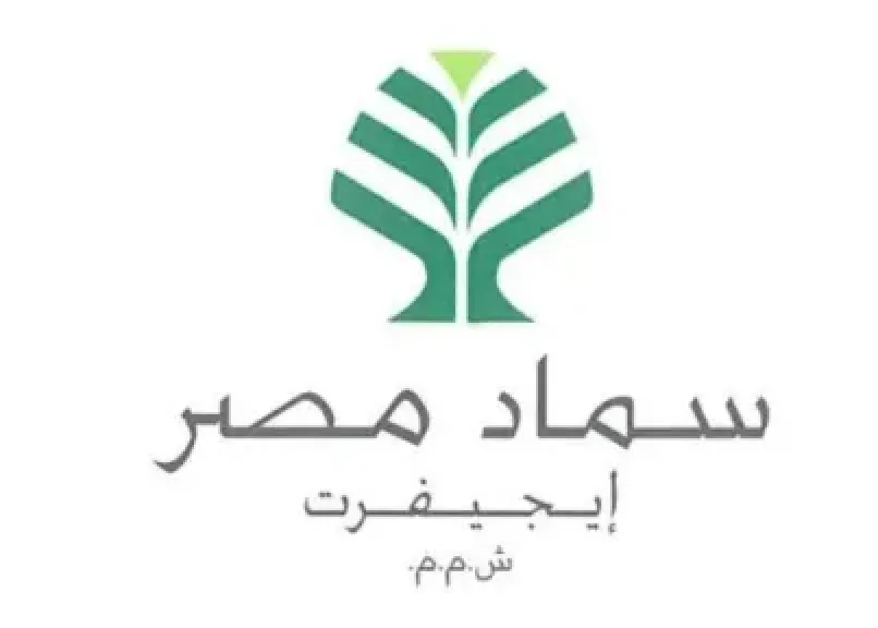 الرقابة المالية تمدد فترة سريان عرض شراء «ناس الإماراتية» لأسهم سماد مصر «إيجيفرت»