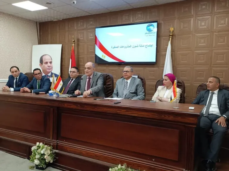 «مستقبل وطن» ينتهي من حصر مشكلات المشروعات الصغيرة بالجيزة