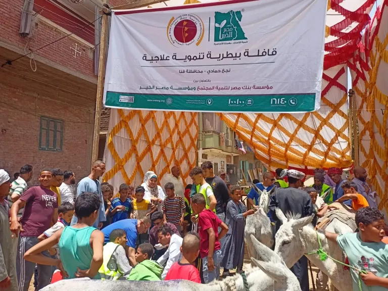 جانب من الفعاليات