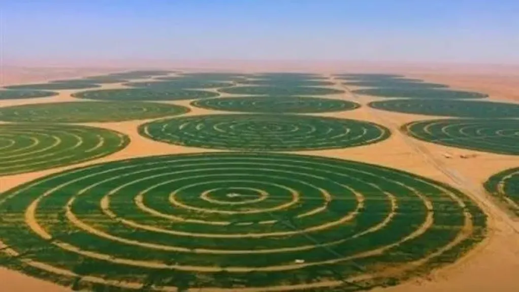 التنمية الزراعية والصناعية