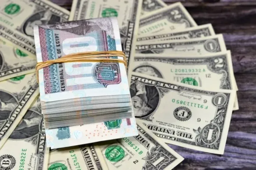 سعر الدولار اليوم
