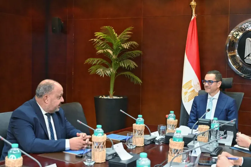 وزير الاستثمار