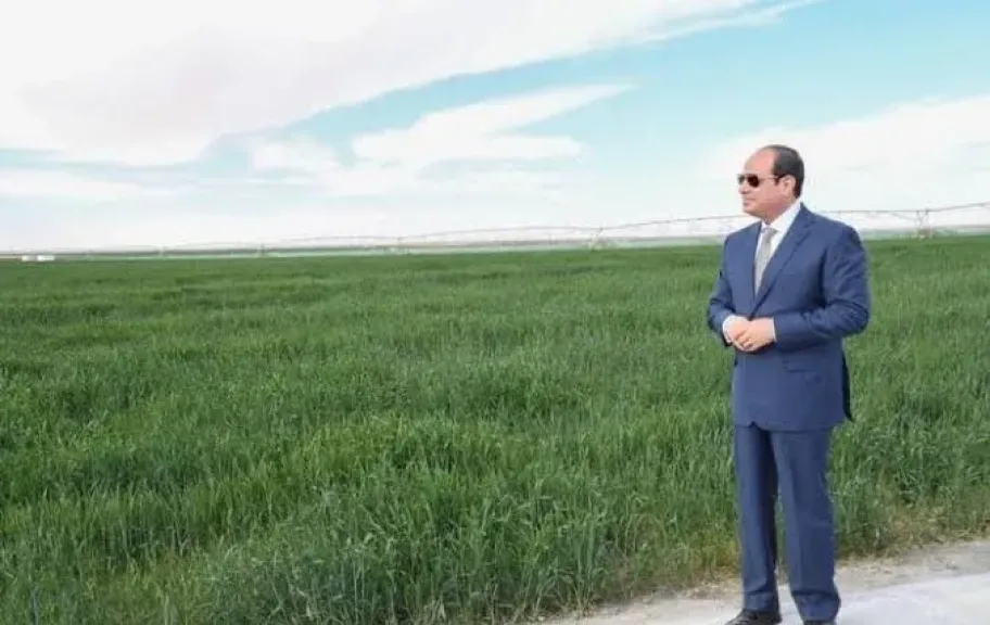 وديان تهنئ الرئيس السيسي بعيد الأضحى وتؤكد التزامها بتقديم أول حصاد خلال 2025