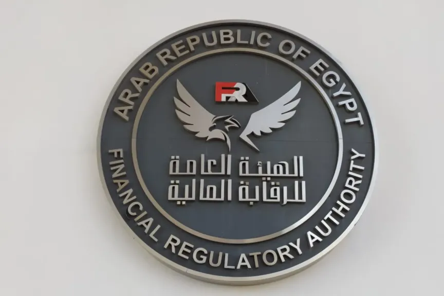 هيئة الرقابة المالية
