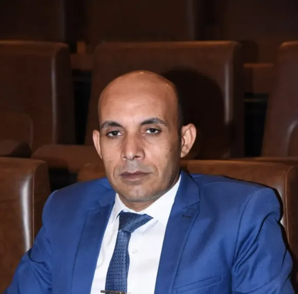 الكاتب الصحفي محمود العربى