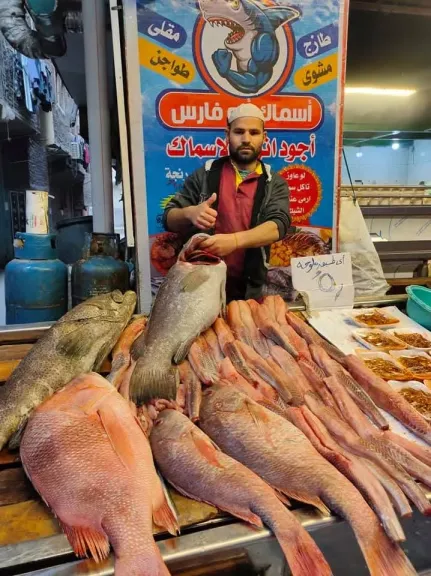 اسعار الاسماك اليوم السبت