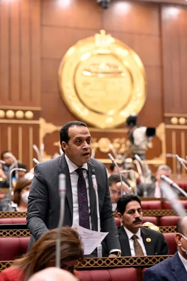 خالد ابو الوفا