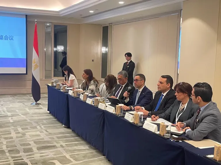 وزير الاستثمار