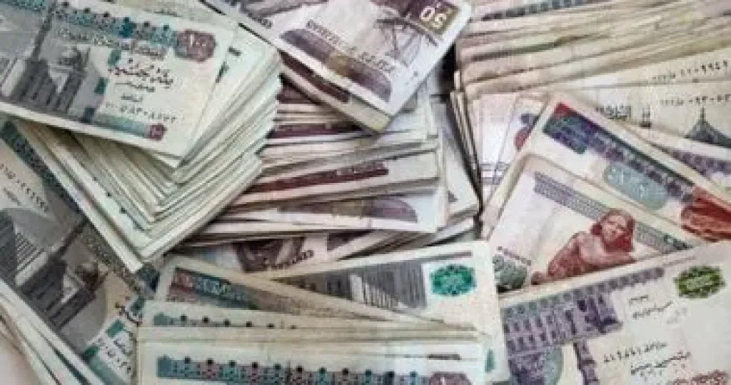 صناديق التامين الخاصة