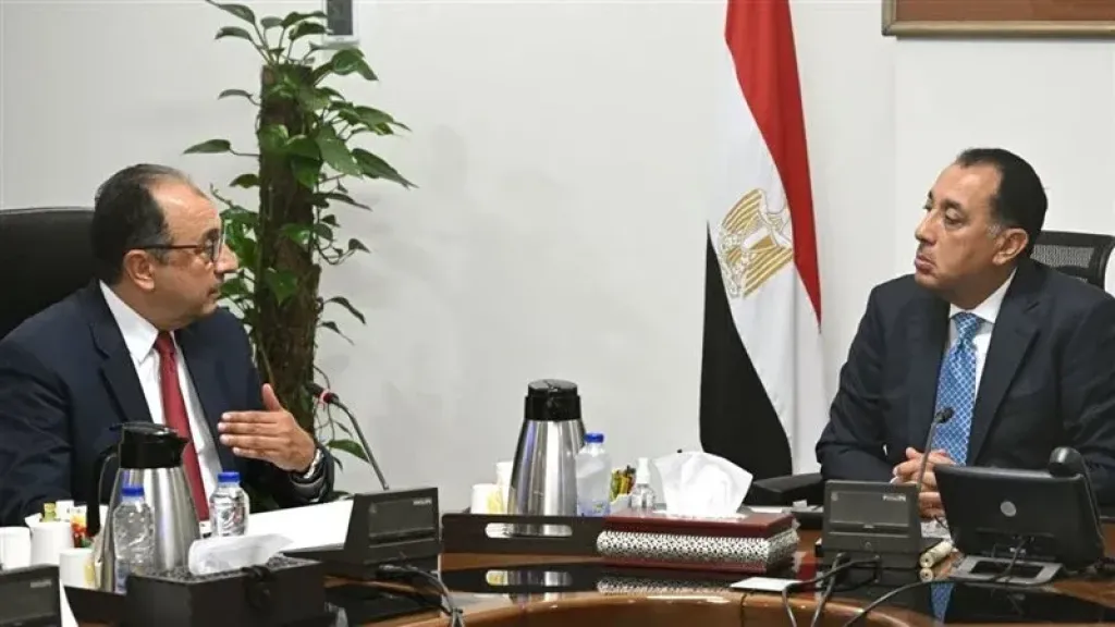 مدبولي ووزير قطاع الأعمال العام
