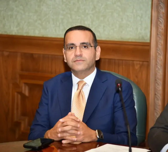 المهندس محمد المنزلاوي