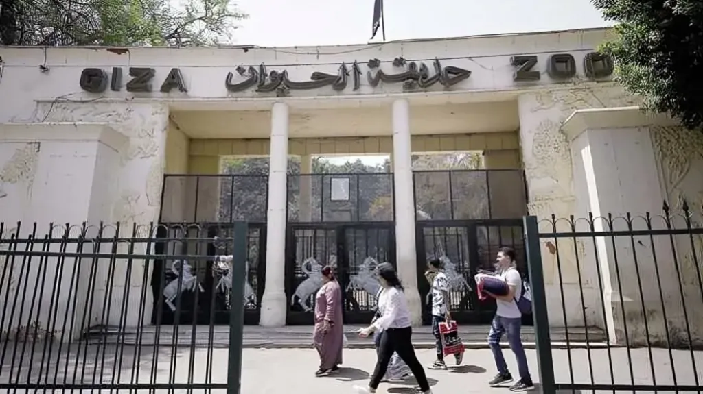 حديقة الحيوان بعد التجديد.. متى تفتح؟ وكم تكلفة الدخول؟ إليك التفاصيل الكاملة