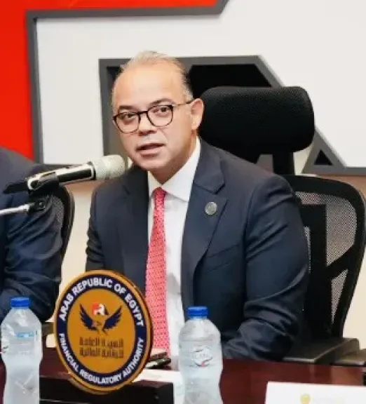 د محمد فريد رئيس الهيئة