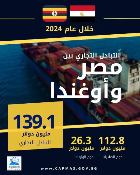 انفوجراف الاحصاء 