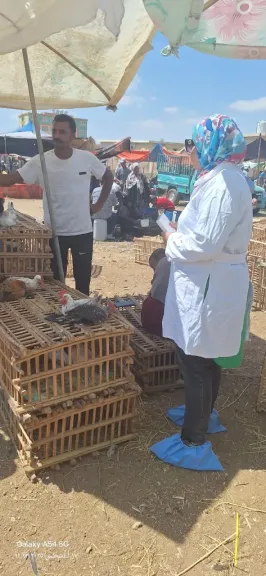 جانب من الفعاليات