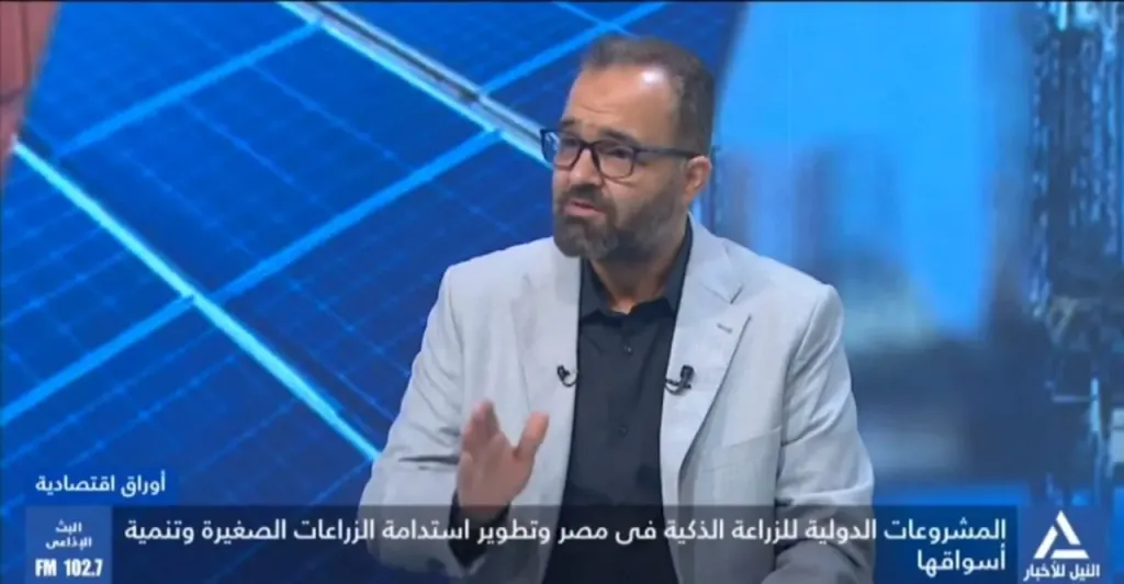 عمرو البحيري