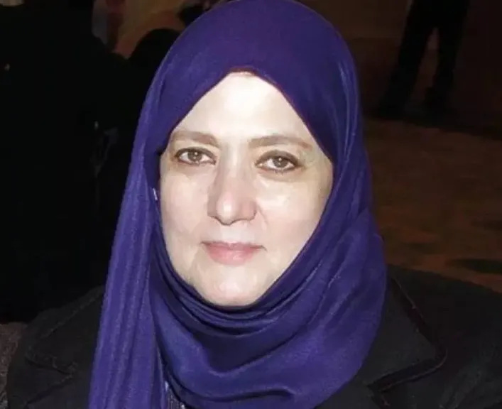 شمس البارودي