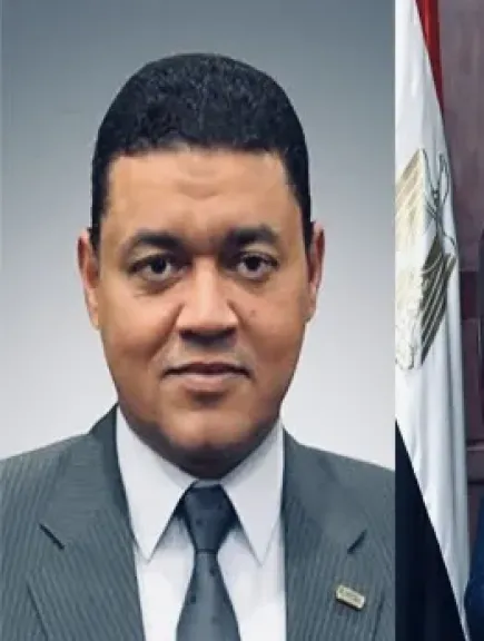 المهندس ياسر صلاح الدين