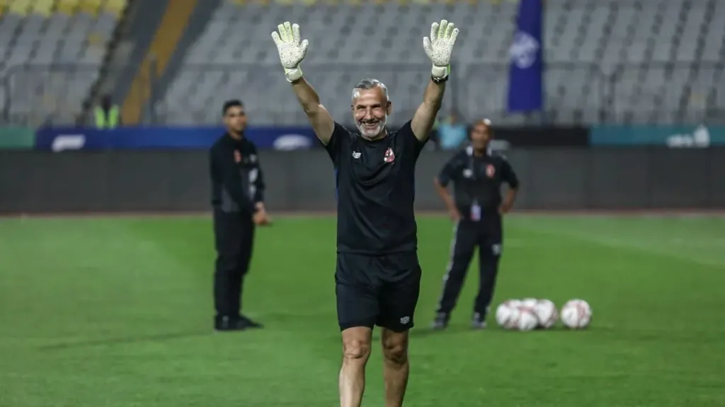 ميشيل يانكون